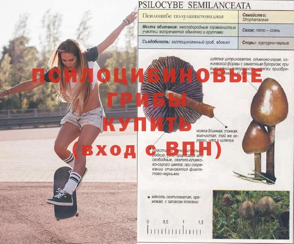 дурь Абинск