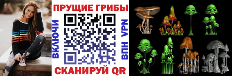 Галлюциногенные грибы GOLDEN TEACHER  Правдинск 